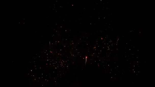 Záběr Role Real Fireworks Nočním Pozadí Abstraktní Skutečné Zářící Ohňostroje — Stock video