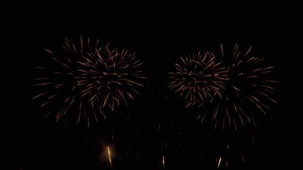 Real Fireworks Gece Arkaplanındaki Ikinci Çekimi Gece Gökyüzünde Bokeh Işıkları — Stok video