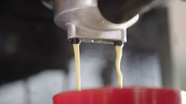Kahve makinesinden fincana kahve dökülüyor. Ev yapımı sıcak Espresso. Filtre tutacağı kullanılıyor. Taze kahve akıyor. Sabahları kavrulmuş sade kahve içmek. Ev yapımı. 4k b-roll.