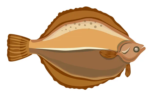 Flounder Fish, emblema de criatura de agua salada para el club de pesca, restaurante de mariscos o mercado de pesca. Especies de pescado Peces planos — Vector de stock