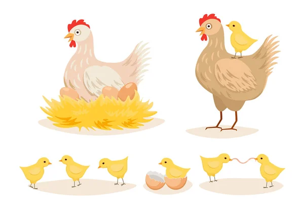 Hen in Nest, Chicks with Eggs and Little Chicks, Poultry Farm Female Domestic Birds, Farming Production, Agriculture — 스톡 벡터