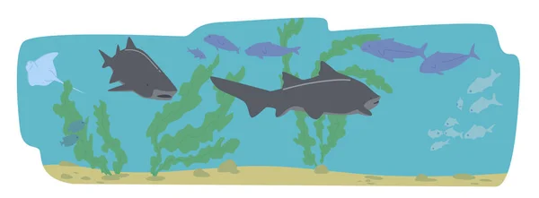 Sharks and Stingray with Tuna Fishes Swim in Sea Underwater Space with Seaweeds or Aquarium Bottom (en inglés). Vida de fauna marina — Vector de stock