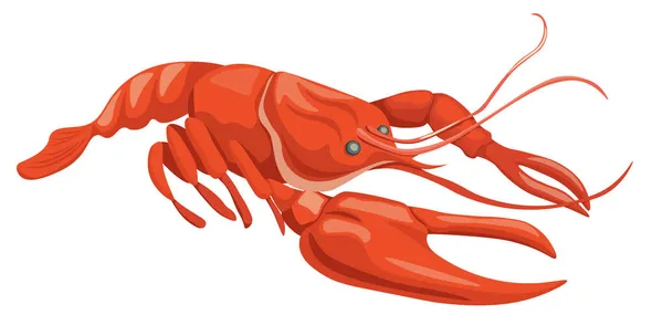 Lobster, Crawfish, Crayfish Underwater Animal, Raw Restaurant Seafood. Crustacean Wild Creature With Claws, Langouste — Stock Vector