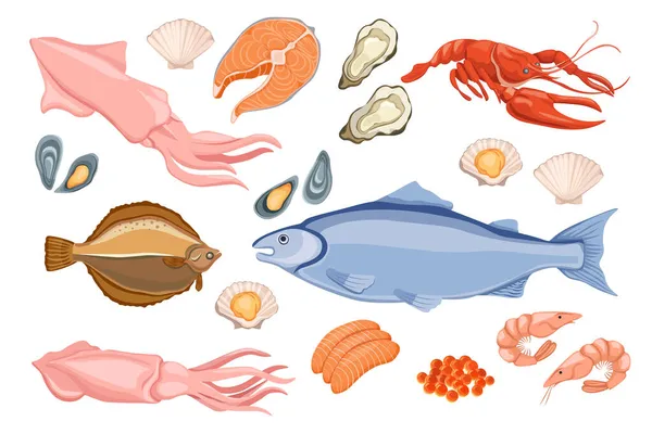 一套生海鲜比目鱼、鲭鱼、乌贼、龙虾及牡蛎、扇贝、虾类及红鱼子酱、鲑鱼 — 图库矢量图片