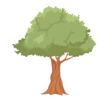 Güçlü Bagajlı Zeytin Ağacı ve Yeşil Yapraklı Dallar. Zeytinyağı çıkarımı için yayılan fabrika, izole edilmiş etiket