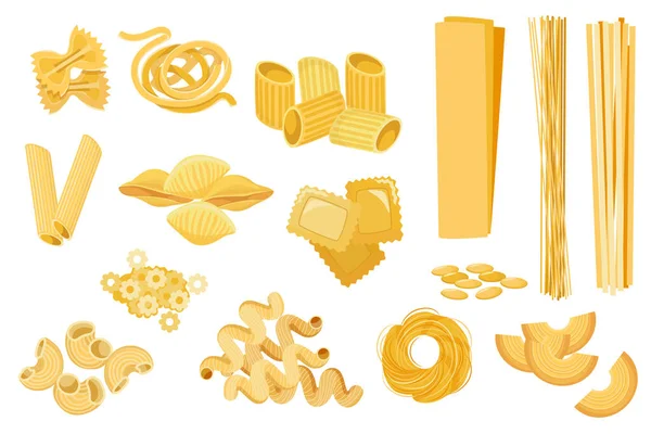 Set Pasta Types Stelle, Filini, Farfalle and Quadretti. Nidi Di Roundine Tagltatelle, Cornetti Rigati or Penne, Canelone — Stock Vector
