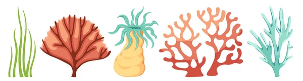 Cartoon Ocean Plants Marine Kelp, Algae, Wracks, Laminaria Seaweeds or Coral Reef Underwater Life (en inglés). Acuario Malezas — Vector de stock