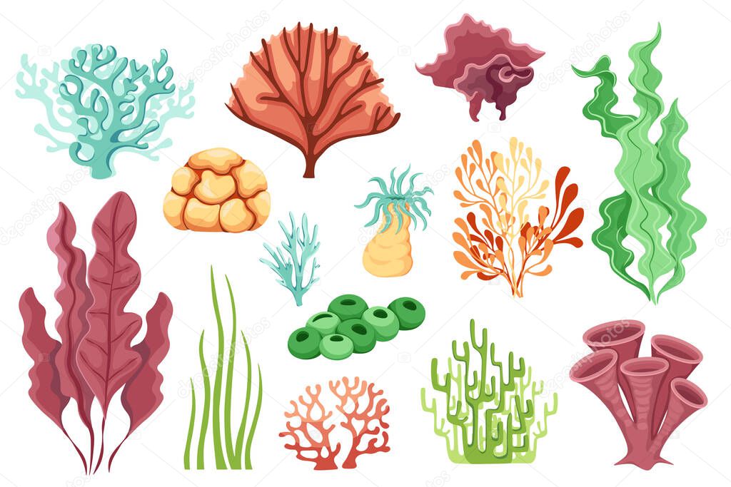 Cartoon Ocean Plants, Aquatic Life, Marine Coral Reef or Seaweeds Water Life Isolated on White Background. Underwater Corals or Sea Weeds, Wrack, Laminaria, Kelp, Algae. Vector Illustration, Icons Set