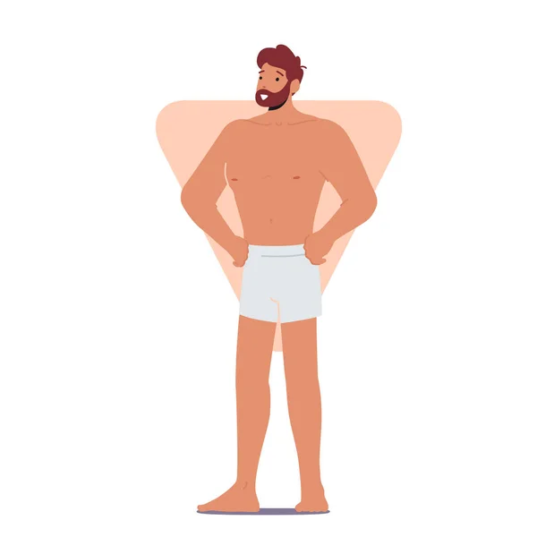 Homme avec triangle inversé Forme du corps Poser avec les bras Akimbo, Modèle de mode Personnage masculin Type de figure isolé — Image vectorielle