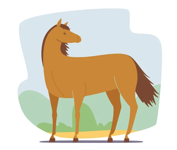 Beautiful Brown Horse Stand on Nature Landscape Isolado em fundo branco. Mustang, Garanhão Fazenda ou Fazenda Animal — Vetor de Stock