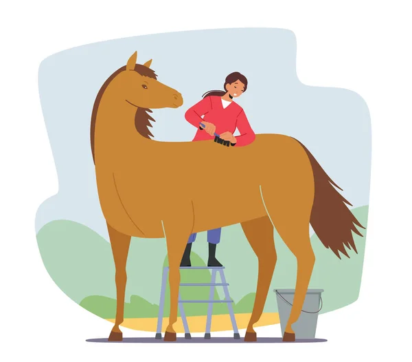Stableman Vrouw Karakter Verzorging van Purebred Horse Cleaning and Brushing Skin and Hair met borstel of kam voor de wedstrijd — Stockvector