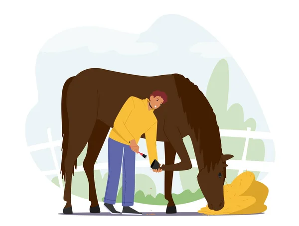 Stableman mannelijke karakters verzorging van gefokte paarden reinigen hoeven met borstel Bereid hengst voor paardensport wedstrijd — Stockvector