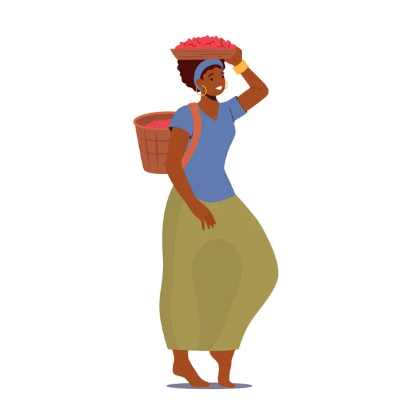 Kobieta Farmer Praca na plantacji kawy Carry Basket on Head and Back Izolowane na białym tle. Uprawy uprawne, zbiory — Wektor stockowy