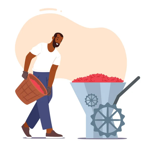 Boer zet koffiebonen in slijpen Machine Werken op plantage of fabriek geïsoleerd op witte achtergrond — Stockvector