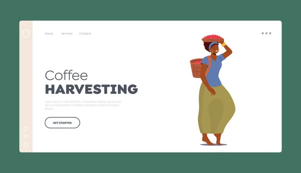 Kahve Hasadı İniş Sayfası Şablonu. Kadın Çiftçi Kahve Çiftliği 'nde çalışıyor. Kafasında ve sırtında sepet taşıyor. — Stok Vektör