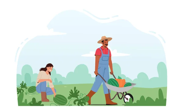 Seasonal Work Farm Man Woman Farmers Pick Harvest Wheelbarrow Orchard — Stock vektor