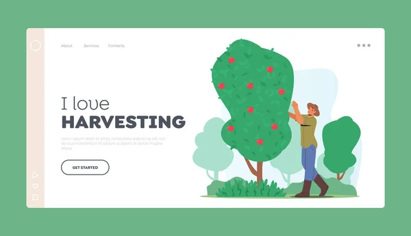 Harvesting Landing Page Template Man Farmer Character Pick Ripe Apple — ストックベクタ