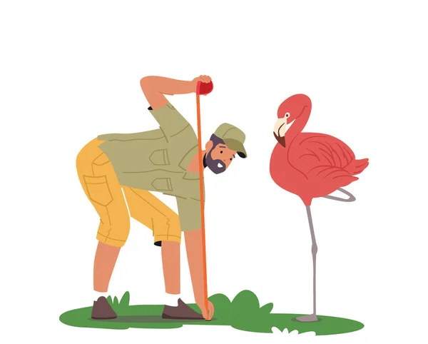 Zoo Worker Veterinarian Examining Measuring Flamingo Professional Zookeeper Ornithologist Scientist — Archivo Imágenes Vectoriales