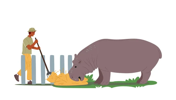 Állatkert Munkás Férfi Karakter Táplálás Hippopotamus Hay Szakmai Állatkerti Gondozó — Stock Vector