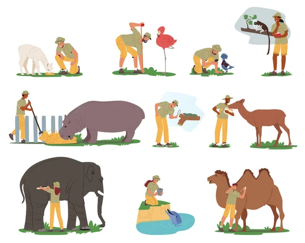 Zestaw Znaków Zoologa Badania Zwierząt Naturalnym Siedlisku Naukowcy Badają Zwierzęta — Wektor stockowy