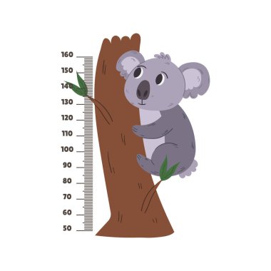 Tatlı Koala Tropikal Hayvanlı Çocuklar Duvarı Çıkartması. Çizgi film karakteri ve ölçekli boy ölçer. Çocukların boy ölçümü için büyüme grafiği, stadiyometre. Vektör İllüstrasyonu