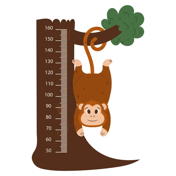 面白い猿と子供の高さメーターは木にかかっています 面白い猿の動物と漫画センチメートルスケール 子供のための成長チャート高さ測定 孤立センチメートル壁ステッカー ベクターイラスト — ストックベクタ