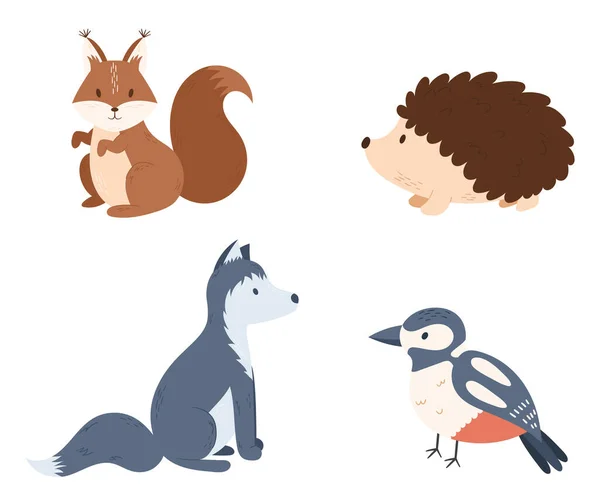 Set Animales Forestales Ardilla Erizo Lobo Pájaro Aislados Sobre Fondo — Vector de stock