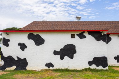 Cow pattern painted walls clipart