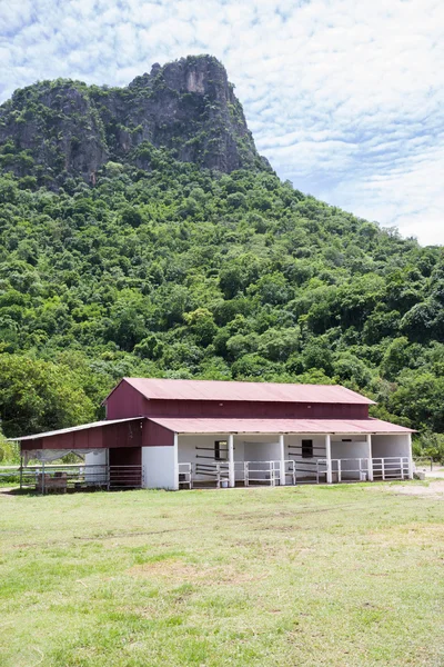 Horse stable — Stock Photo, Image