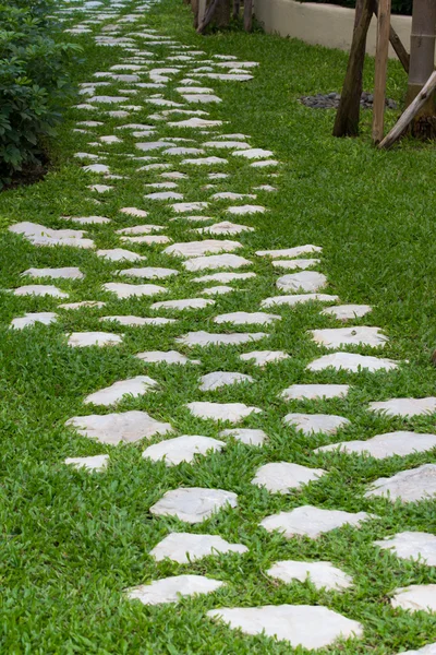 Stenen pad in de tuin — Stockfoto