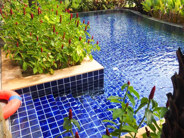 Swimming pool — Stock Photo, Image