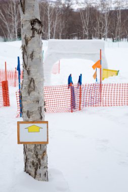 snowy orman içinde bir ağaç, işaretler