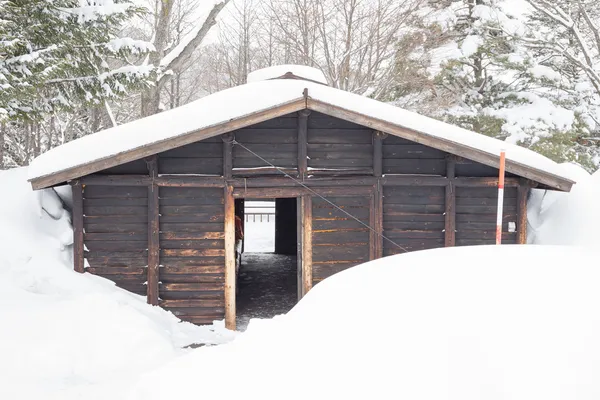 Neve coberto log cabine — Fotografia de Stock