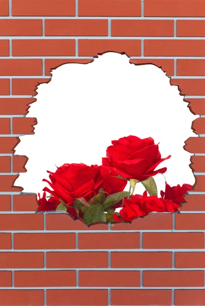 Ziegelsteinloch mit roten Rosen und Platz für Ihren Text — Stockfoto