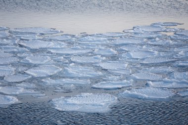 dondurulmuş deniz kıyısındaki buz blokları