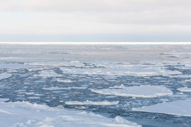 drift buz, Ohotsk Denizi, Japonya