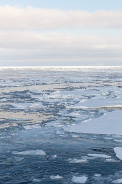 Drift ice, Sea of Okhotsk, Japan clipart