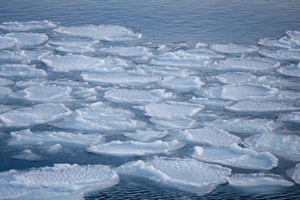 바다에 봄 얼음 빙원을 깨고