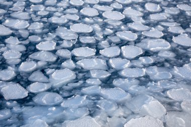 dondurulmuş deniz kıyısındaki buz blokları.