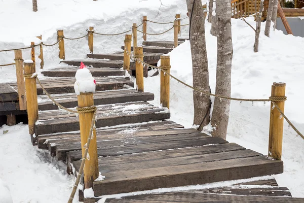 Escaleras de madera y pasamanos en pendiente de montaña empinada cubierta con —  Fotos de Stock