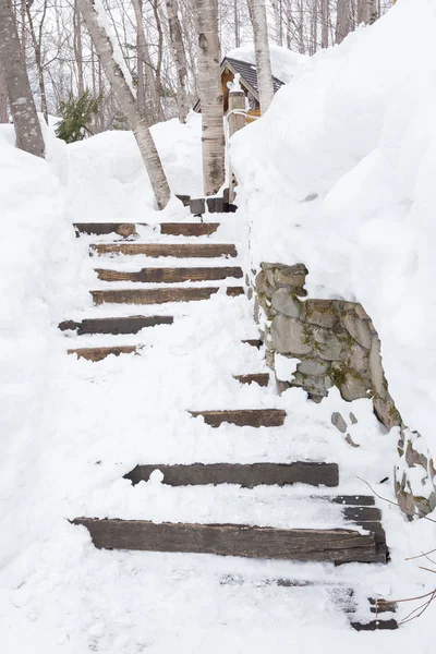 在森林里的雪楼梯 — 图库照片