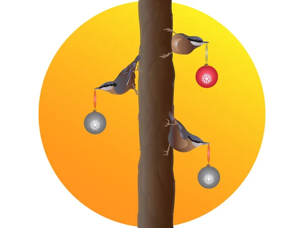 Christmas birds — Stock Photo, Image