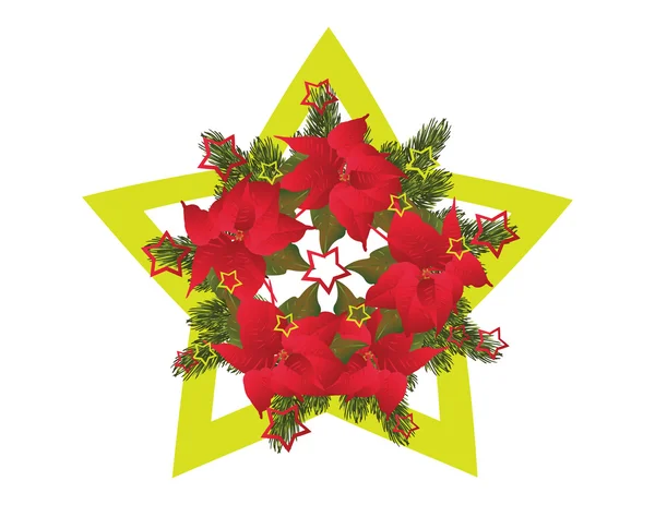 Christmas star — Stock Photo, Image