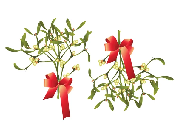 Christmas mistletoe — Stock Photo, Image