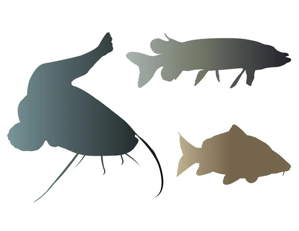 tatlı su balıkları