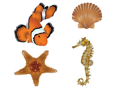 Ocean set clipart