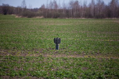 Rus roketi ekilmiş bir tarlada duruyor.