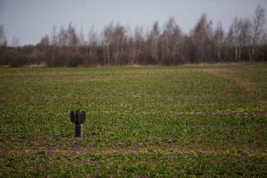 Rus roketi ekilmiş bir tarlada duruyor.