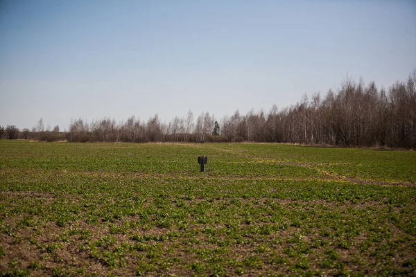 Rus roketi ekilmiş bir tarlada duruyor.