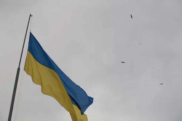 Gri gökyüzünde Ukrayna bayrağı